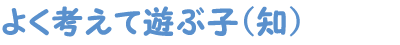 よく考えて遊ぶ子(知)